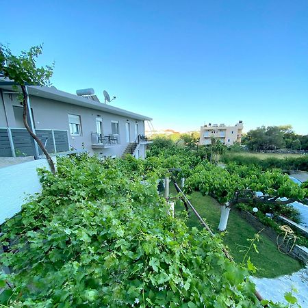 Stelios Studios Sougia Exterior photo
