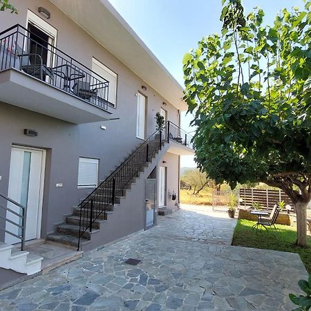 Stelios Studios Sougia Exterior photo